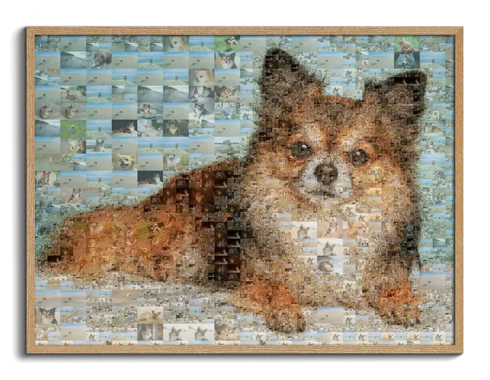 Mosaico fotografico orizzontale di un cagnolino sdraiato, composto da foto rettangolari, in cornice di legno naturale