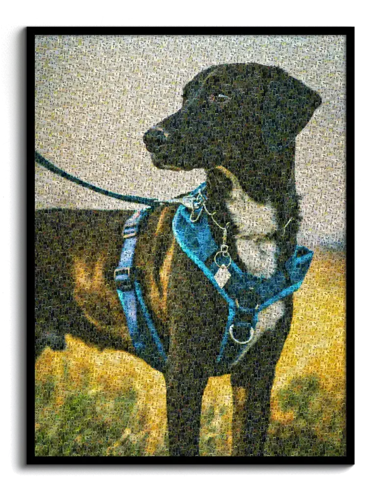 Ritratto di un cane nero con pettorina blu in mosaico fotografico, racchiuso in una cornice nera