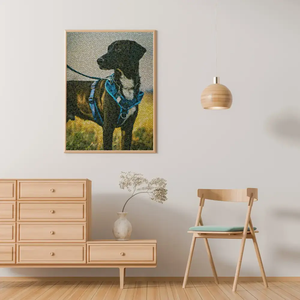 Mosaico fotografico di un cane nero con pettorina blu, in cornice di legno alla parete sopra una cassettiera