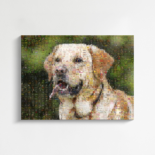 Crea il tuo mosaico cane unico con tante foto, ideale per amanti e regali!