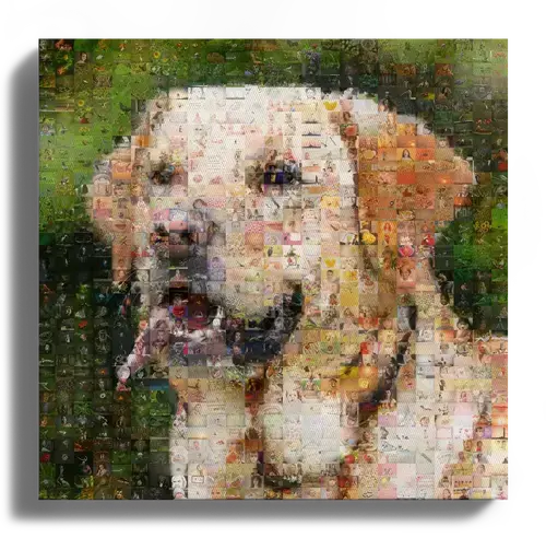 Crea il tuo mosaico cane unico con tante foto, ideale per amanti e regali!