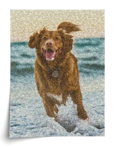 Mosaico Fotografico Personalizzato: Ritratto di Cane