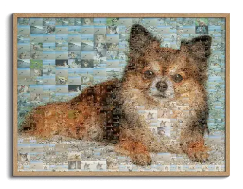 Mosaico Fotografico Personalizzato: Ritratto di Cane